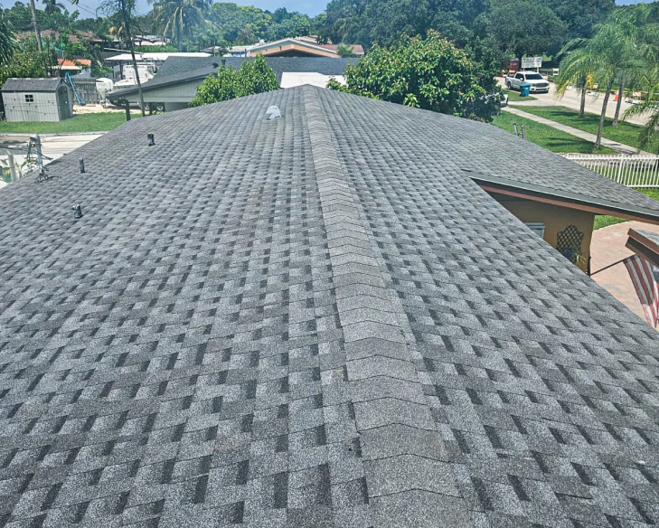 asphalt roof shingle newly installed